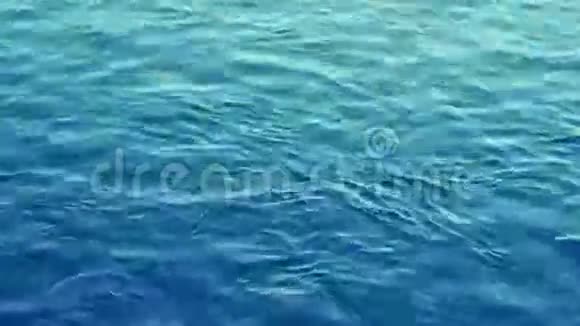水波蓝色视频的预览图