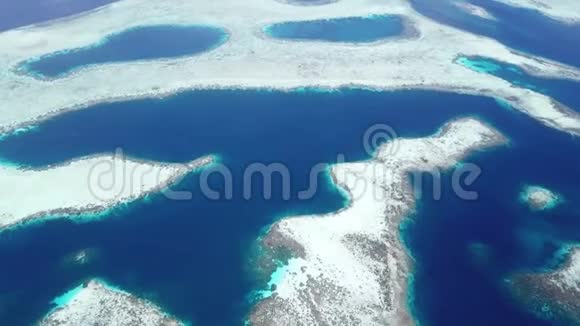 RajaAmpat惊人珊瑚礁的鸟瞰图视频的预览图