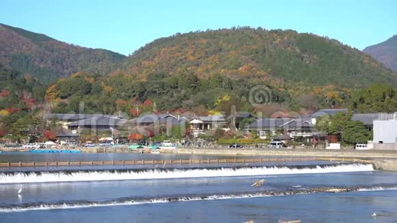 美丽的秋天颜色和TogetuKyo桥视频的预览图