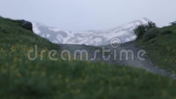 高加索山脉白种人美丽自然乔治亚动物视频的预览图