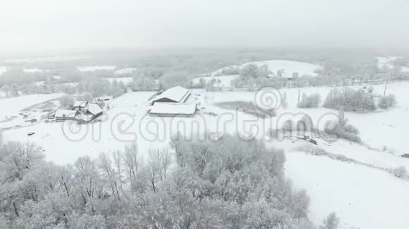 冬天白雪覆盖的乡村视频的预览图