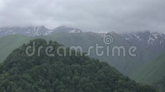 高加索山脉白种人美丽自然乔治亚动物视频的预览图
