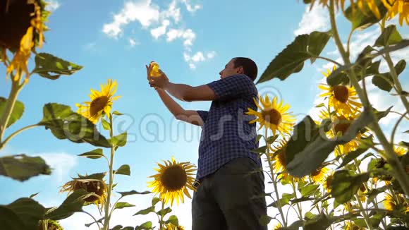 农夫手里拿着一个塑料瓶向日葵油立在田野里生活方式慢动作视频向日葵视频的预览图