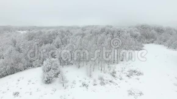 冬天白雪覆盖的乡村视频的预览图