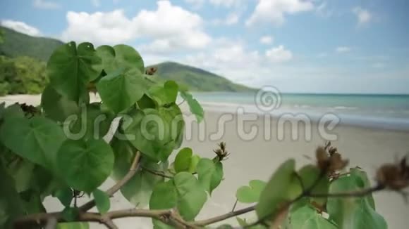广阔美丽的海滩拍摄视频的预览图