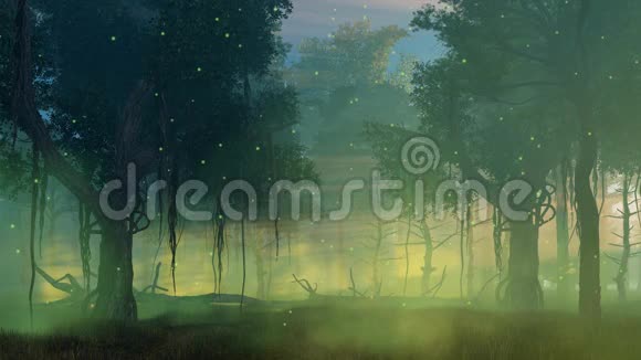 雾蒙蒙的夜间森林电影4K视频的预览图