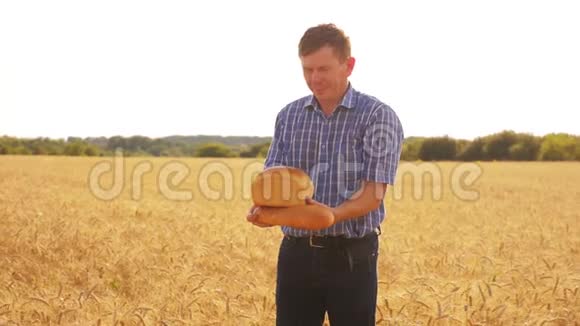 老农夫面包师拿着一个金色的面包和面包在成熟的麦田对抗蓝天慢动作视频收获视频的预览图