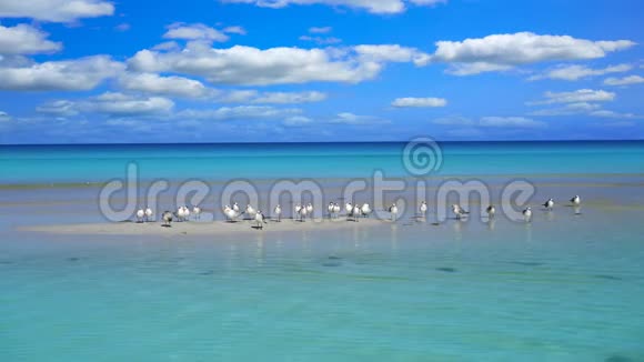 墨西哥加勒比海的霍伯克岛海滩视频的预览图
