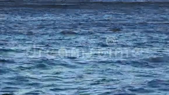 海景海景视频的预览图