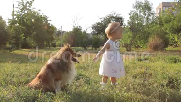 小女孩和狗视频的预览图