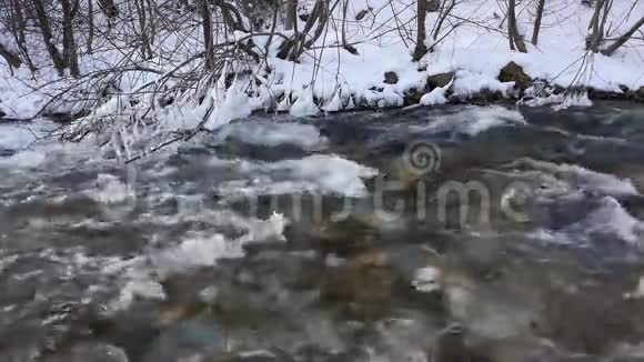 雪林中的河流视频的预览图