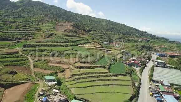 菲律宾卢松山区农田视频的预览图