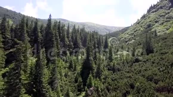 鸟瞰夏日山景喀尔巴阡山脉视频的预览图