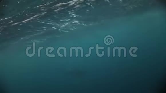 水面令人惊叹的海洋景观背景视频的预览图