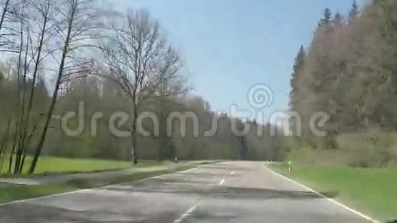 春天的德国森林视频的预览图