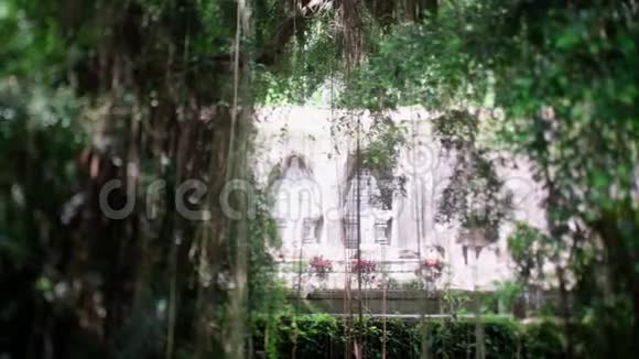 巴厘古建筑视频的预览图
