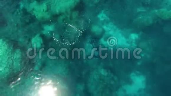 一架美丽的无人机射向海洋视频的预览图