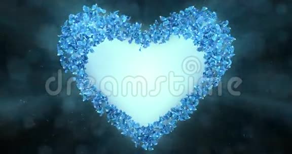 蓝色玫瑰花花瓣恋爱心形背景占位符环4k视频的预览图