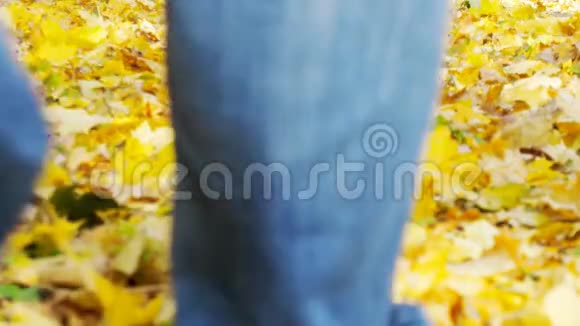 人走在秋叶上视频的预览图