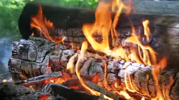 火灾背景日志燃烧视频的预览图