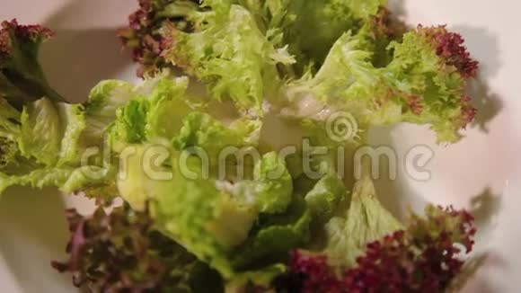 一份绿色蔬菜沙拉的特写镜头视频的预览图