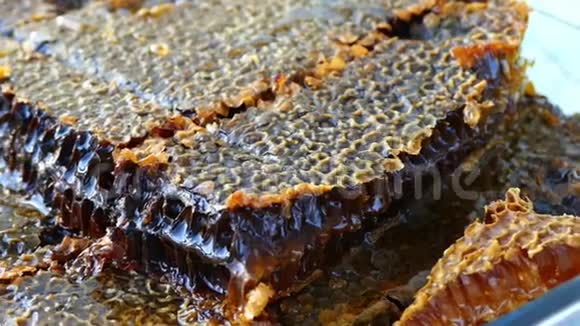 纯天然蜂蜜对人体健康蜂窝为早餐在玻璃碗蜂窝蜜视频的预览图