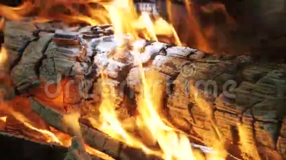 火灾背景日志燃烧视频的预览图