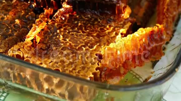在玻璃碗蜂窝蜜蜂蜜梳子在封闭的玻璃碗与拉伸膜视频的预览图
