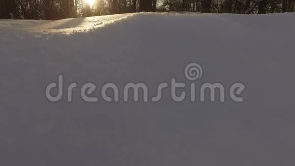 下雪的冬季公园视频的预览图