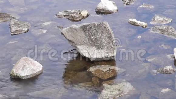 河里的石头河流和石头视频的预览图