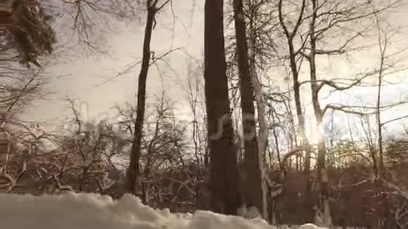 下雪的冬季公园视频的预览图