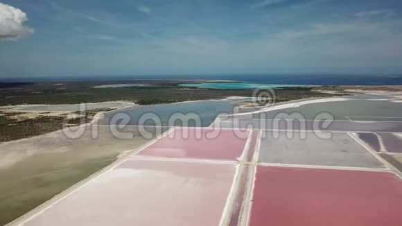 玫瑰加勒比海盐湖博内尔岛空中无人机顶视图4KUHD视频视频的预览图