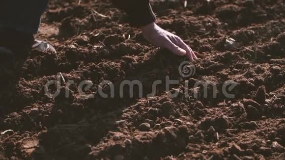 农户双手扶倒有机土土壤农业阳光视频的预览图