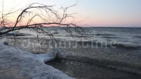 日落时分俄罗斯奥布水库一条冰冻的河流中的冰视频的预览图