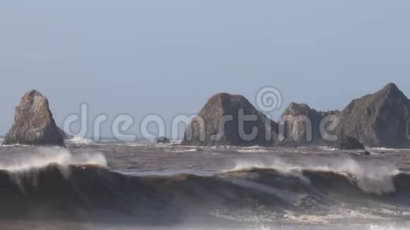 海鸥在山羊岩海滩索诺马县加利福尼亚州冬季视频的预览图