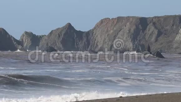 海鸥在山羊岩海滩索诺马县加利福尼亚州冬季视频的预览图