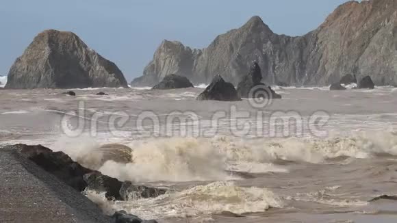 海鸥在山羊岩海滩索诺马县加利福尼亚州冬季视频的预览图