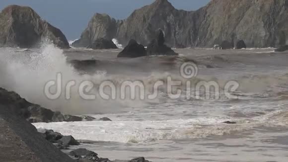 海鸥在山羊岩海滩索诺马县加利福尼亚州冬季视频的预览图