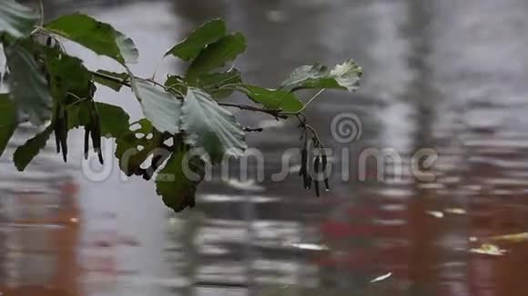流动的水清水在流动小溪溪视频的预览图