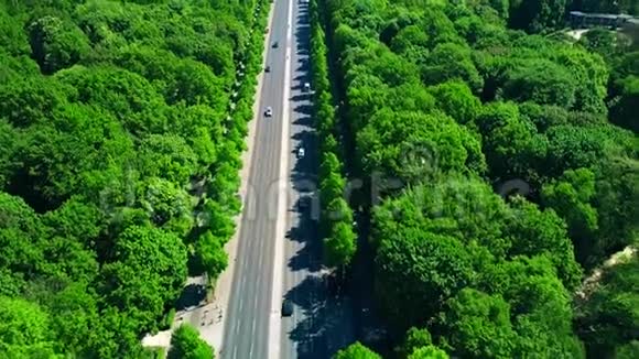 森林公路交通鸟瞰图视频的预览图