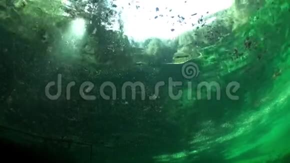 费尔斯坦塞湖水下景观中的树木和草地碎片视频的预览图