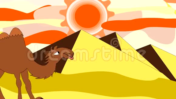 一只骆驼穿过金字塔附近的沙漠视频的预览图