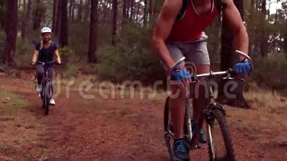 一对骑自行车穿越森林视频的预览图