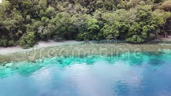 RajaAmpat珊瑚礁和岛屿的鸟瞰图视频的预览图