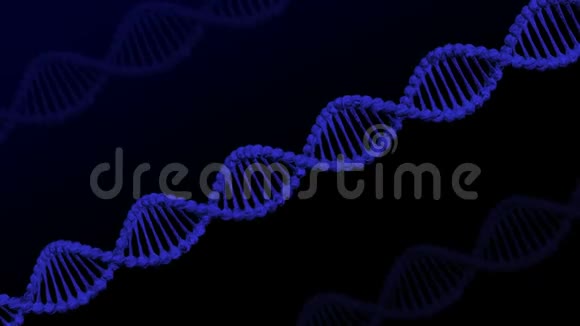DNA分子3D绘制视频的预览图