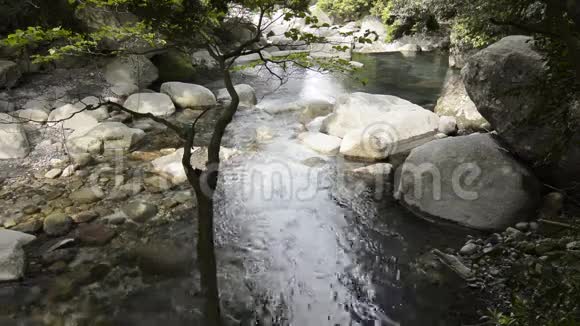 小溪在岩石间流淌视频的预览图