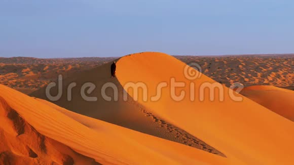 清晨撒哈拉沙漠的典型景观视频的预览图