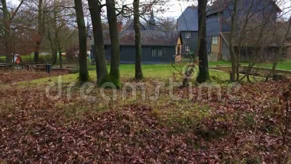 历史结构德国旧房子视频的预览图