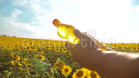 农夫用向日葵在田野里探索慢动作视频男人的生活方式农夫手捧一瓶向日葵视频的预览图