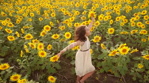 夏天向日葵田野上快乐的小女孩向日葵上美丽的小女孩慢视频生活方式视频的预览图